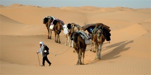 Peace Corps Tunisian Arabic Lessons - Image
